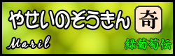 やせいのぞうきん